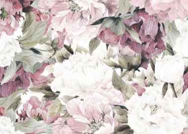 Tapeta Pionies
