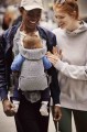 pol_pl_BABYBJORN-MOVE-3D-Mesh-nosidelko-Szary-7355_6.jpeg